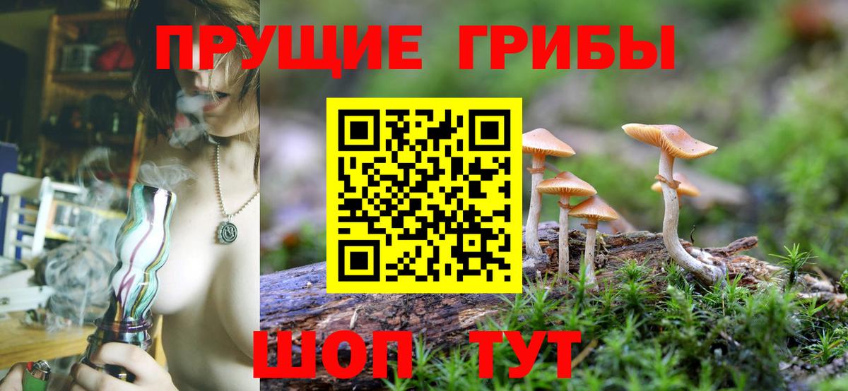 Галлюциногенные грибы прущие грибы  Вход с VPN  Семёнов 