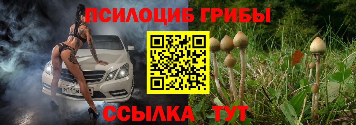 Галлюциногенные грибы мицелий Семёнов